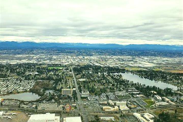 Willow, 32 — Escort in Burien, United States