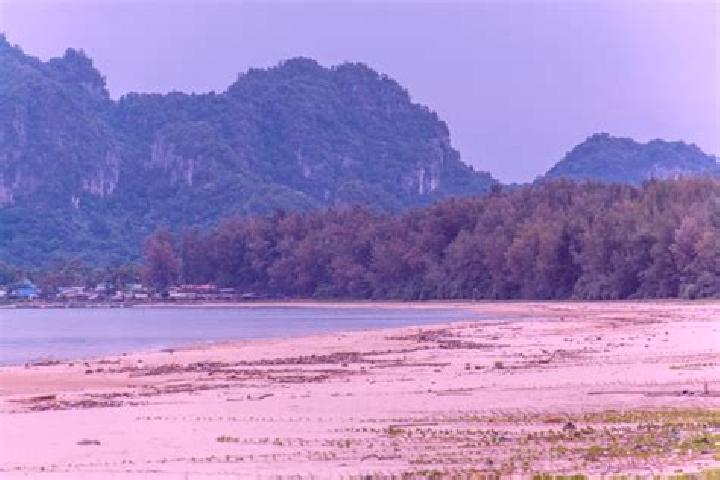 Willow, 32 — Escort in Chum Ta Bong, Thailand