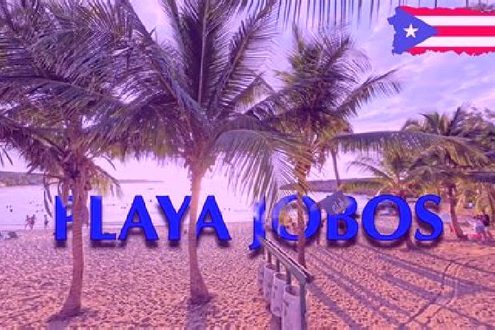 Willow, 32 — Escort in Jobos, Puerto Rico