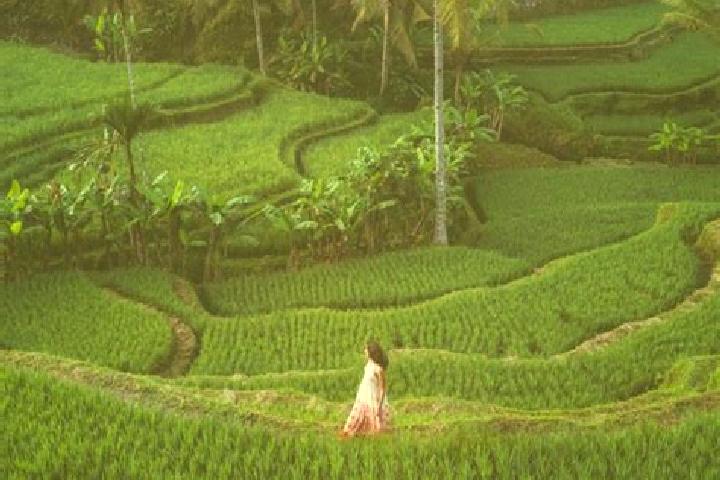 Willow, 32 — Escort in Kentongan, Indonesia