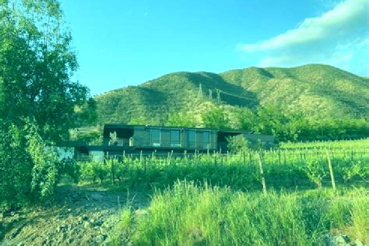 Willow, 32 — Escort in La Vina, Mexico
