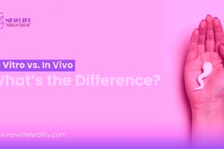 Willow, 32 — Escort in Odranci, Slovenia