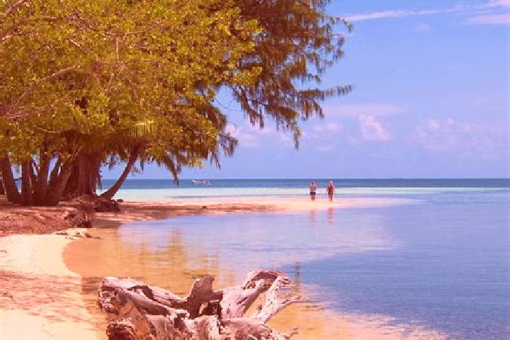 Willow, 32 — Escort in Patchchacan, Belize