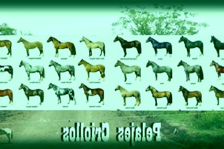Willow, 32 — Escort in Puerto General Nicolas Bravo (Filo de Caballos), Mexico