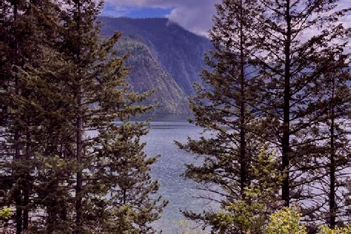 Willow, 32 — Escort in Spirit Lake, United States