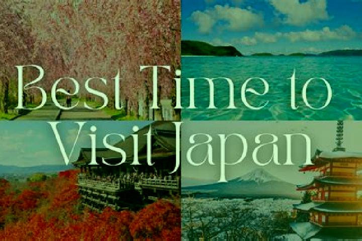 Willow, 32 — Escort in Tatsuiwa, Japan