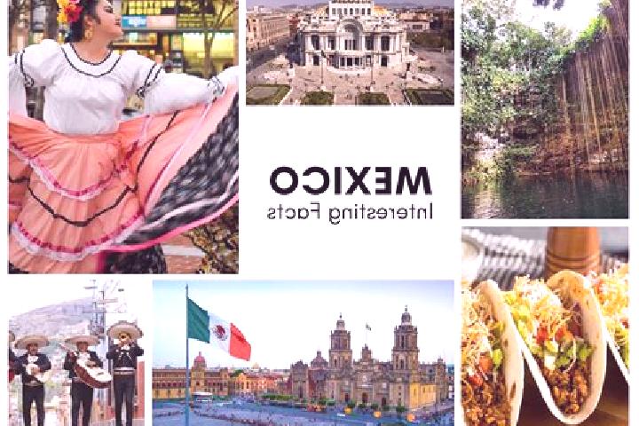 Willow, 32 — Escort in Tepepatlaxco, Mexico