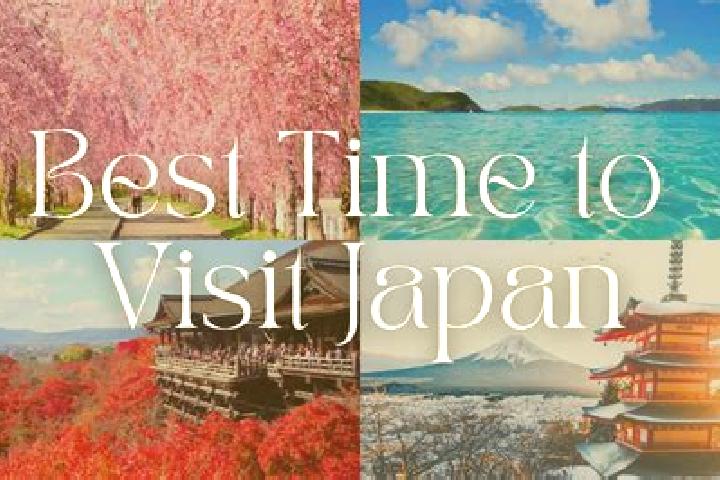 Willow, 32 — Escort in Tondabayashicho, Japan