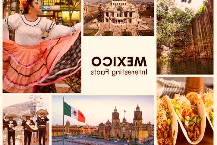 Willow, 33 — Escort in Chemblas, Mexico