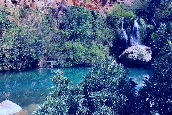 Willow, 33 — Escort in El Kala, Algeria