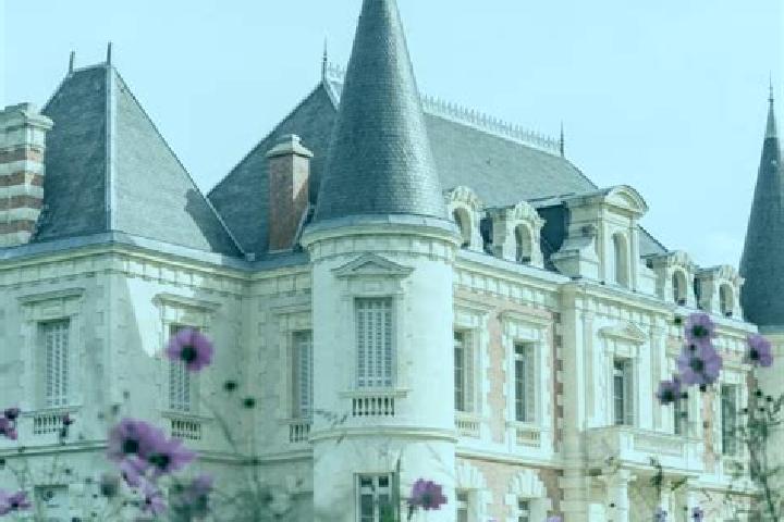 Willow, 33 — Escort in Lamothe, France