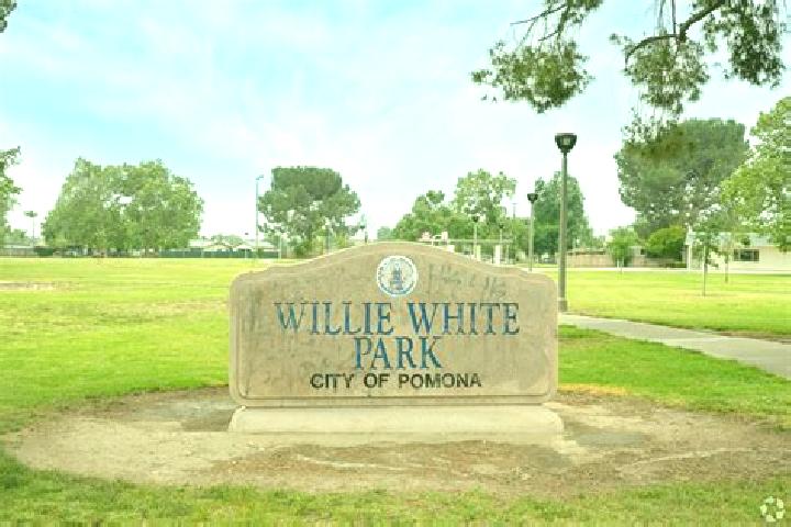 Willow, 33 — Escort in Pomona Park, United States