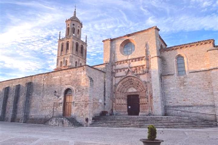 Willow, 33 — Escort in Santa Maria del Campo, Spain
