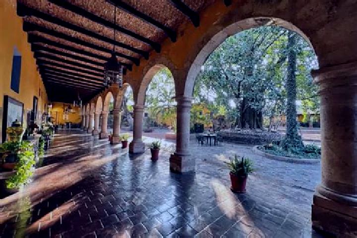 Willow, 33 — Escort in Tlachichuca, Mexico