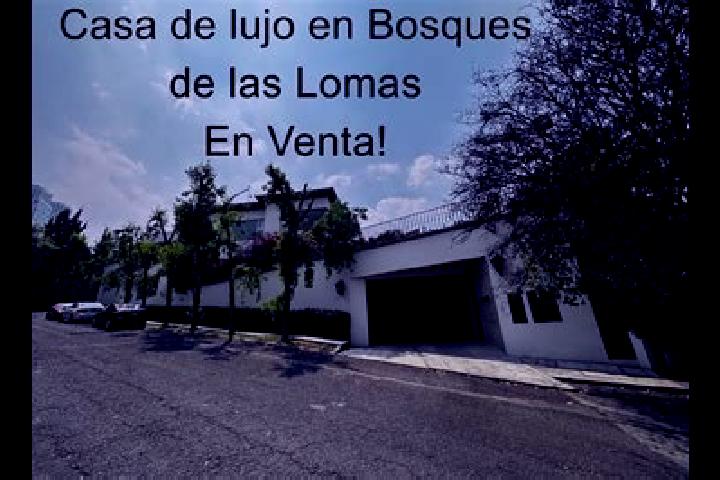 Willow, 33 — Escort in Villas de las Lomas, Mexico