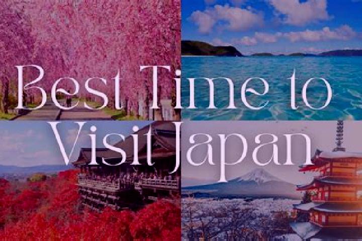 Willow, 33 — Escort in Yura, Japan