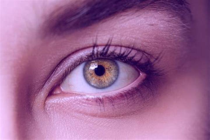 Willow, 34, a chestnut hazel-eyed mixed companion based in Xometla. Offering BDSM, Massage, Tantra. Available for incall and outcall, overnight bookings avai...