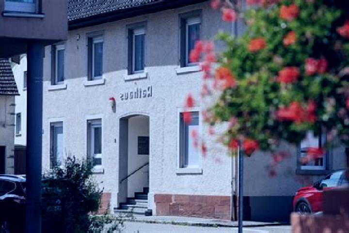 Willow, 34 — Escort in Aletshausen, Germany