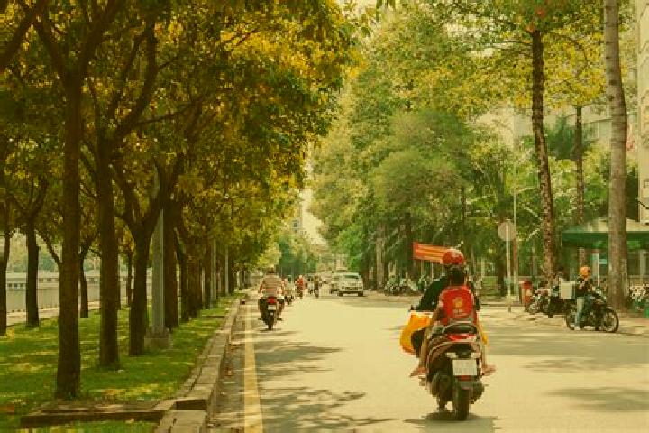Willow, 34 — Escort in Ap Mot, Vietnam