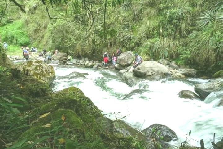 Willow, 34 — Escort in Chambo, Ecuador
