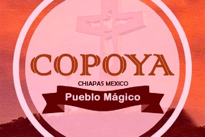 Willow, 34 — Escort in Copoya, Mexico
