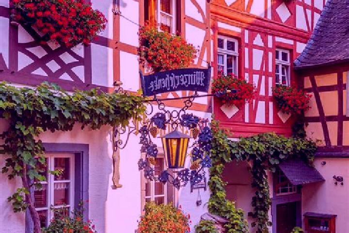 Willow, 34 — Escort in Dottesfeld, Germany
