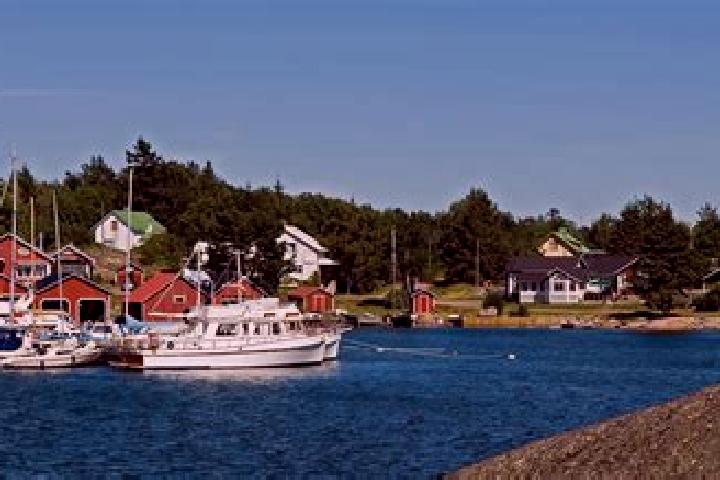 Willow, 34 — Escort in Foegloe, Aland Islands