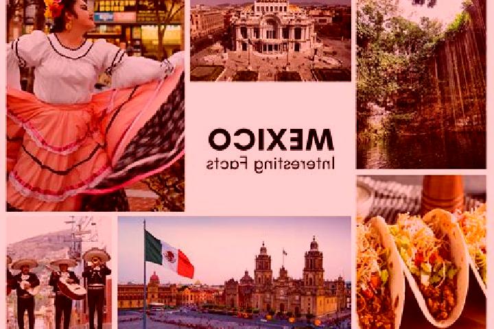 Willow, 34 — Escort in Huaristemba, Mexico