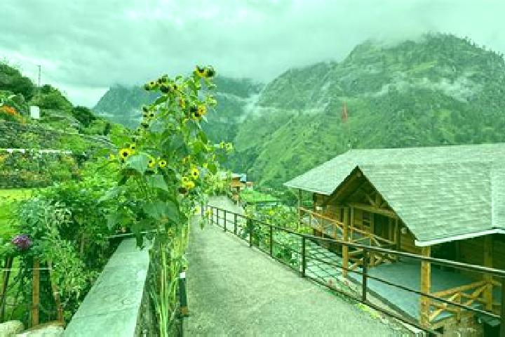 Willow, 34 — Escort in Joshimath, India