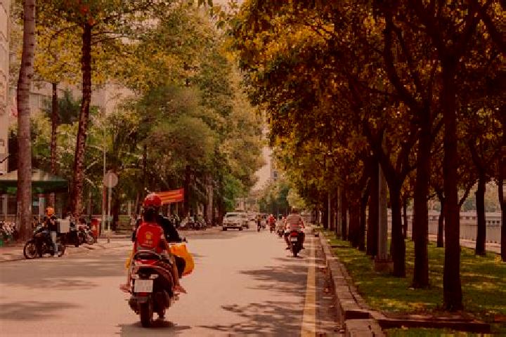 Willow, 34 — Escort in Lung Cu, Vietnam