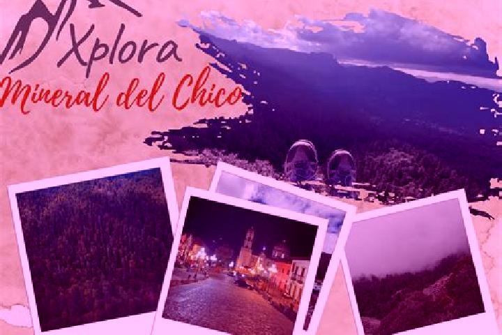 Willow, 34 — Escort in Macin Chico, Mexico