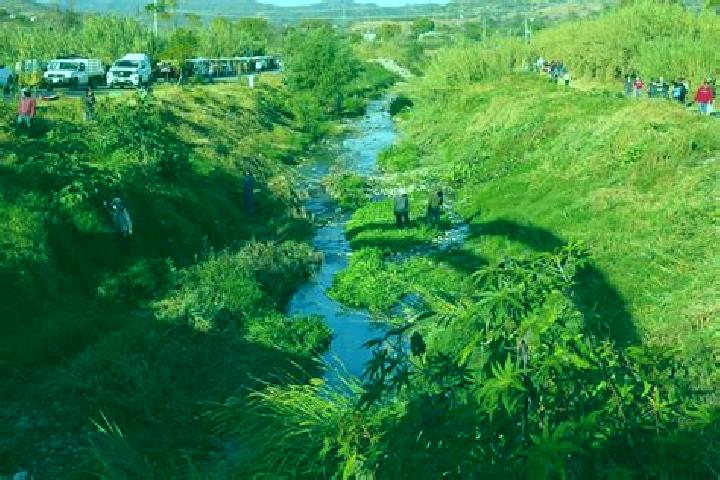 Willow, 34 — Escort in San Lazaro Etla, Mexico