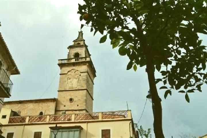 Willow, 34 — Escort in Santa Maria del Cami, Spain