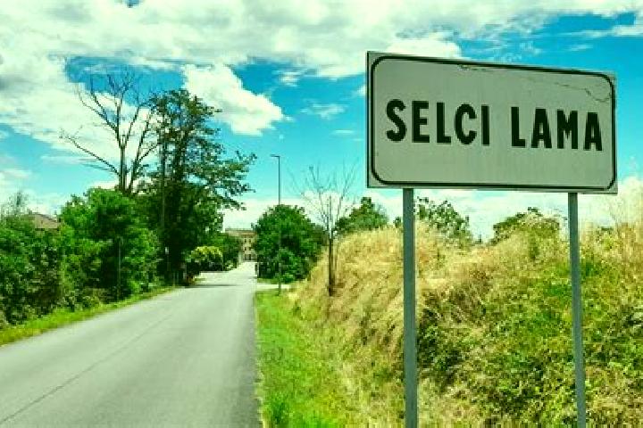 Willow, 34 — Escort in Selci-Lama, Italy