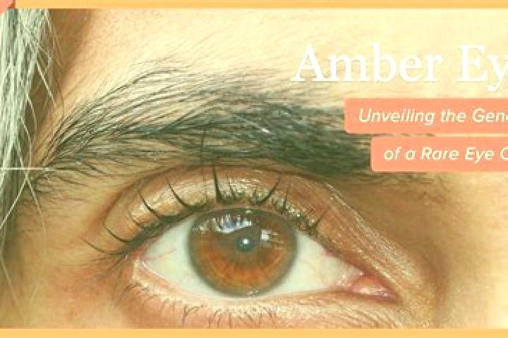 Willow, 35, a red amber-eyed european companion based in Hadera. Offering Couples, Domination, Dinner Date, Roleplay. Available for incall and outcall, overn...