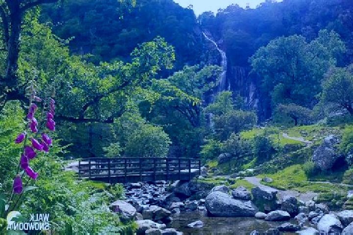 Willow, 35, a red grey-eyed mediterranean companion based in Betws-y-Coed. Offering OWO, Roleplay, Duos. Available for incall and outcall, day and evening da...