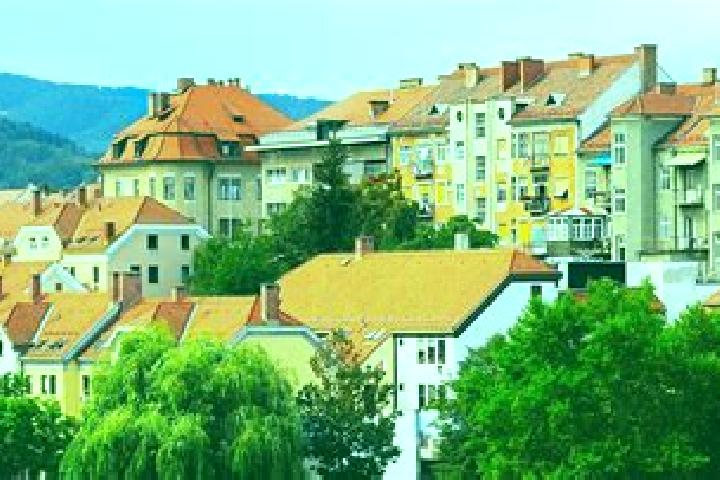 Willow, 35 — Escort in Bilje, Slovenia