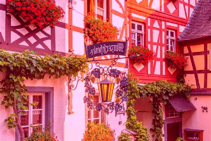 Willow, 35 — Escort in Botersen, Germany