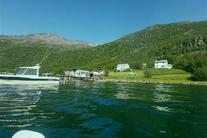 Willow, 35 — Escort in Burfjord, Norway