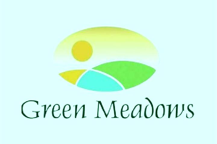 Willow, 35 — Escort in Green Meadows, United States
