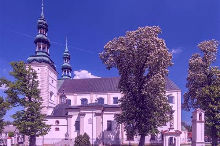Willow, 35 — Escort in Konin Zaganski, Poland