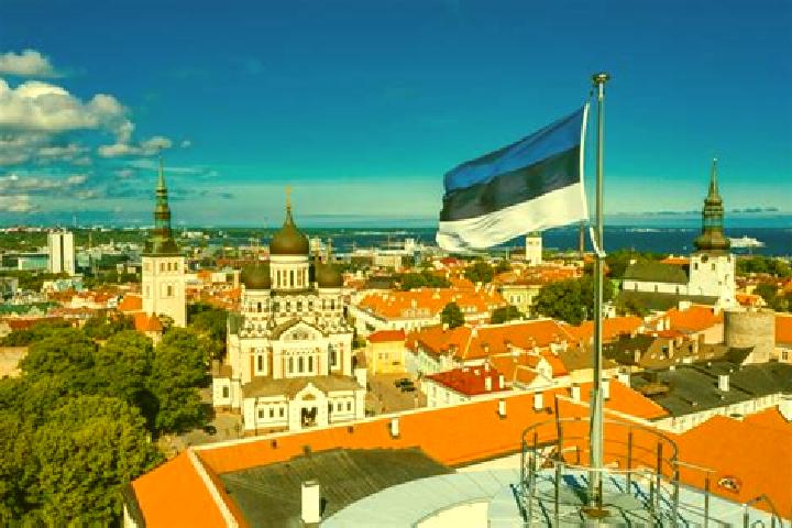 Willow, 35 — Escort in Muuga, Estonia