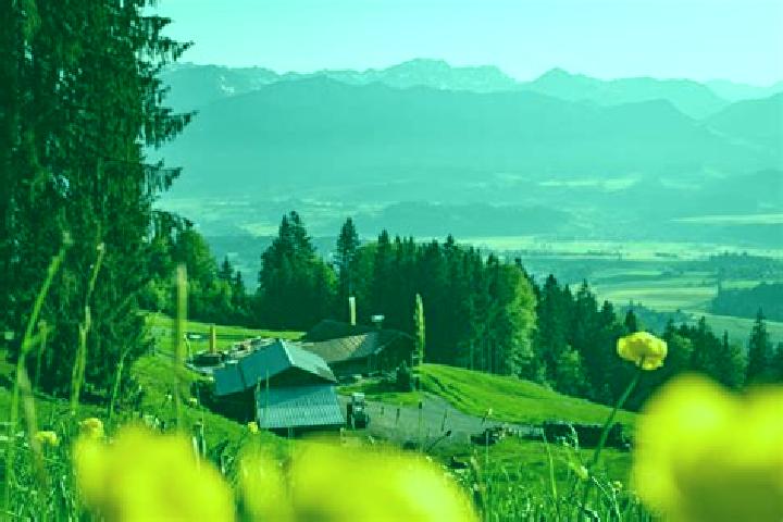 Willow, 35 — Escort in Ofterschwang, Germany