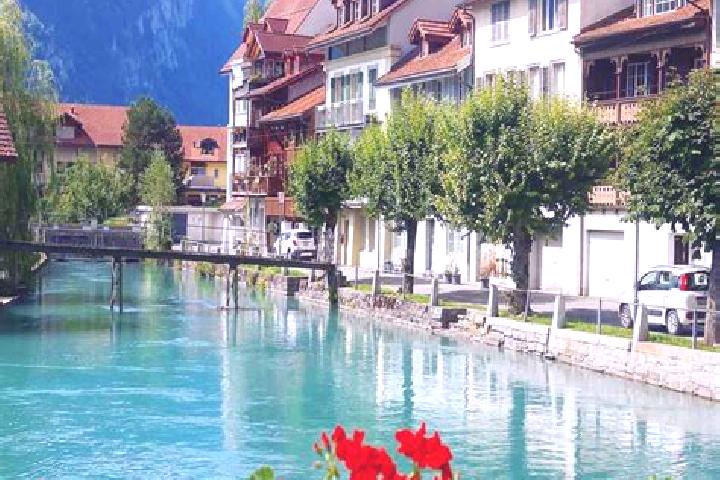 Willow, 35 — Escort in Saint-George, Switzerland