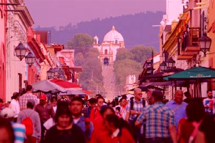 Willow, 35 — Escort in San Cristobal, Mexico