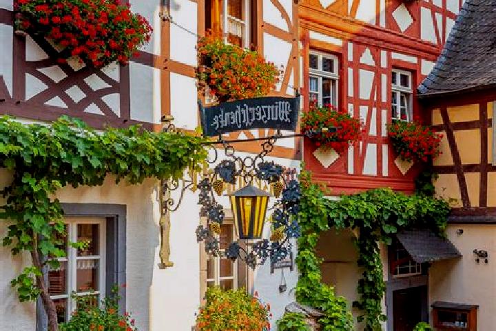 Willow, 35 — Escort in Schurensohlen, Germany