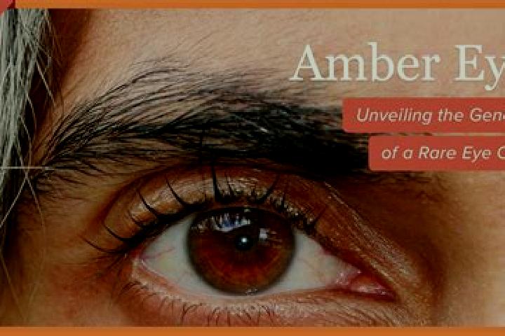 Willow, 36, a black amber-eyed mixed companion based in Macurure. Offering Roleplay, Travel Companion, GFE. Available for incall and outcall, overnight booki...