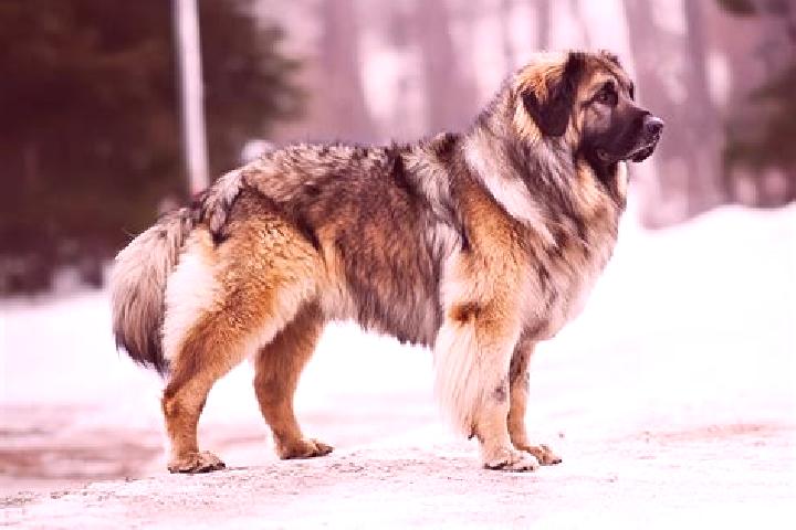 Willow, 36, a black brown-eyed caucasian companion based in Bacem. Offering A-Level, Travel Companion, CIM. Available for incall and outcall, day and evening...