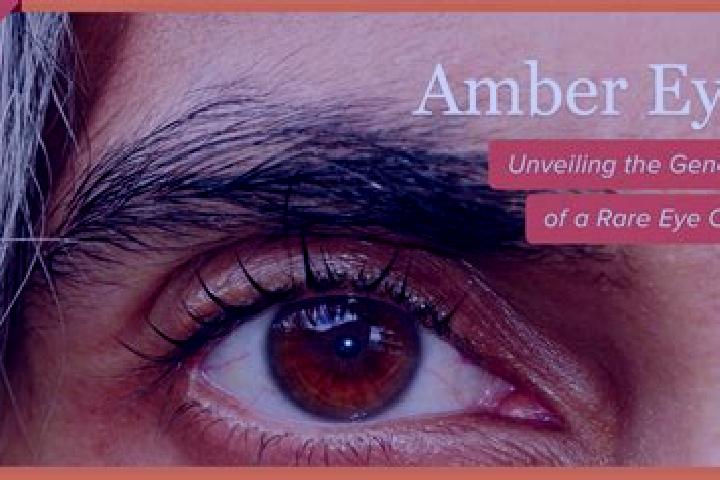 Willow, 36, a red amber-eyed caribbean companion based in Blizyce. Offering Duos, Roleplay, BDSM. Available for incall and outcall, overnight bookings availa...