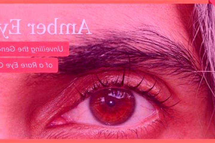 Willow, 36, a red amber-eyed indian companion based in Szydlowiec. Offering Roleplay, Overnight, BDSM, Couples, Deep French Kissing. Available for incall and...